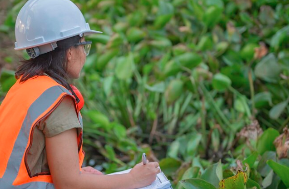 Autorização Ambiental