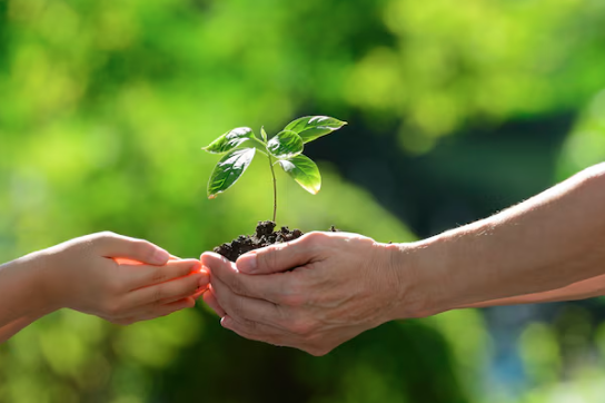 Certificação Ambiental